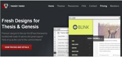 professional wordpress themes review